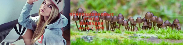 мет Фурманов