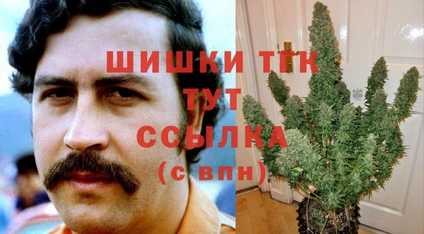 кокс Дмитриев