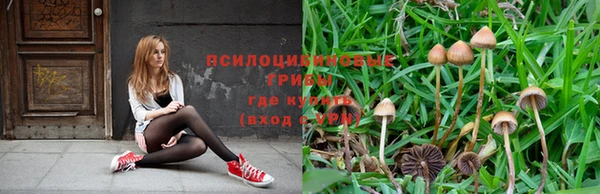 MDMA Дмитров