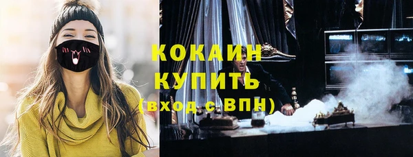 дмт Ельня