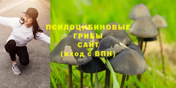 ALPHA PVP Малоярославец