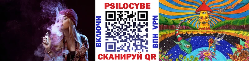 Галлюциногенные грибы мицелий  наркотики  Городец 