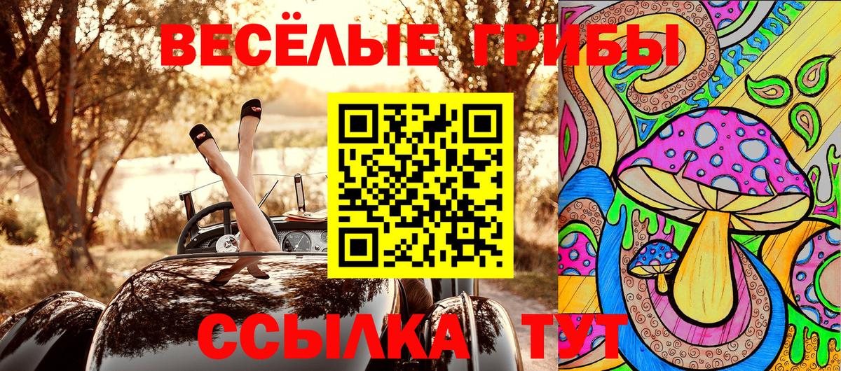 Псилоцибиновые грибы Cubensis Городец