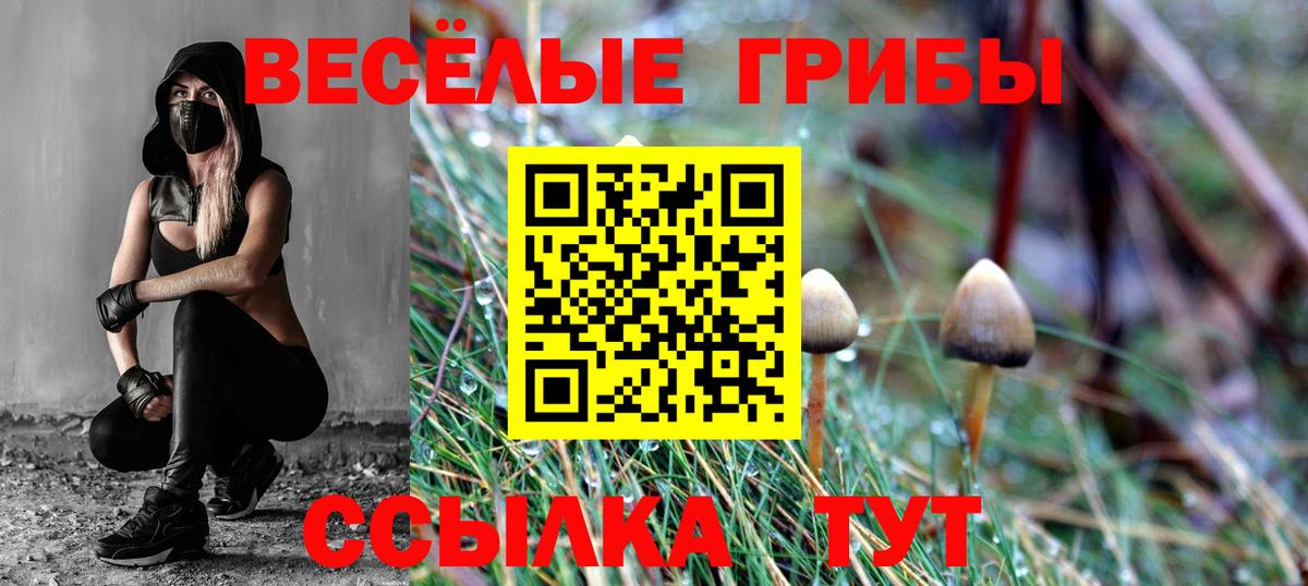 Псилоцибиновые грибы GOLDEN TEACHER  Вход с VPN  Городец 
