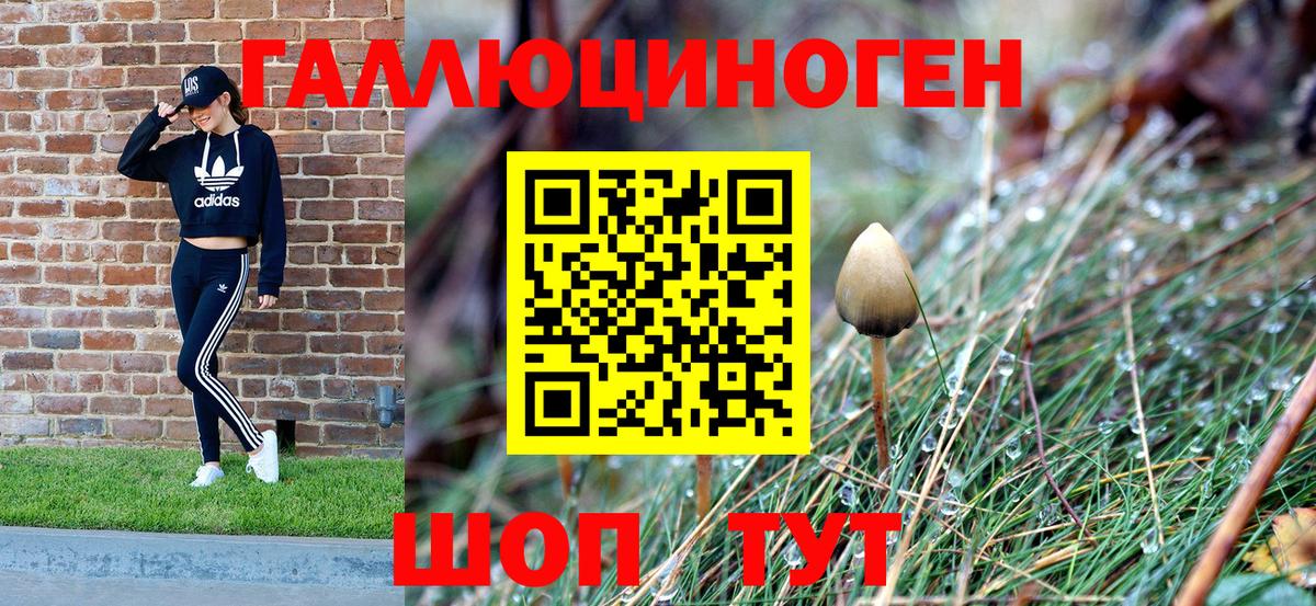 Псилоцибиновые грибы мухоморы  Псилоцибиновые грибы MAGIC MUSHROOMS  Городец 